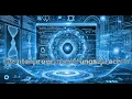 Quantum Programming Languages The Code of the Future
