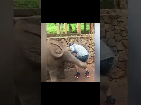 First One#shorts#tiktok#funny
