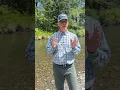 Water Temperature