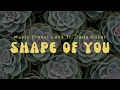 Download Lagu Shape of You - Music Travel Love ft. Jada Facer (Lyric)