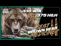 338 Win Mag Versus 375 H H Best Brown Bear Medicine