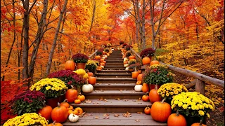 Beautiful Autumn Scenery Soothing Autumn Music For Relax Stress Anxiety Relief Calm Nervous 