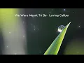 Download Lagu We Were Meant To Be - Loving Caliber