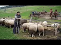 Download Lagu How Does Life Look in a Tiny Village? | DOCUMENTARY