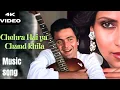 Download Lagu Chehra Hai ya Chand Khila (Official Video) | New Version Hindi 2025 | Sagar Jaisi Aankhon Wali | 90s