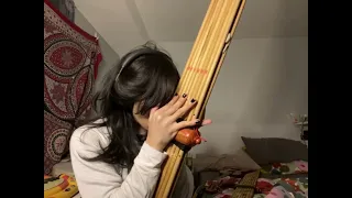 car alarm extended reprise 