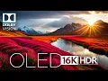 Download Lagu OLED DEMO - 16K VIDEO ULTRA HD • DOLBY VISION HDR 60 FPS