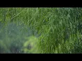 Quran with rain & thunder sounds! | Surah Yaseen and Surah Rahman| Sheikh Mishary Rashid Alafasy