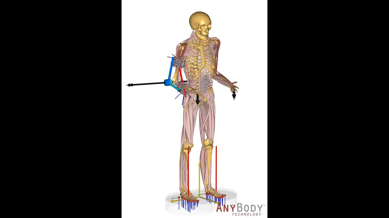 An introduction to exoskeleton design using musculoskeletal modeling