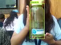 Real-Time Object Detection Using Python OpenCV YOLOv8