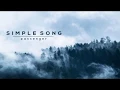 Simple Song -  Passenger (Lyrics)