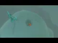 Korok Seed 278 Hebra North Summit The Legend of Zelda Tears of the Kingdom