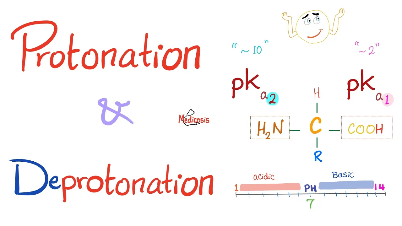 Amino Acids - pH & pKa - Titration - Part 3 - Biochemistry for MCAT, DAT, NEET, GCSE