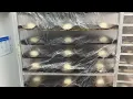 Walmart daily bakery very fresh just made it