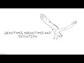Genotype Phenotype and Evolution