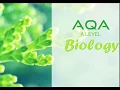 An Introduction to Photosynthesis AQA A Level Biology Key Knowledge Revision A2