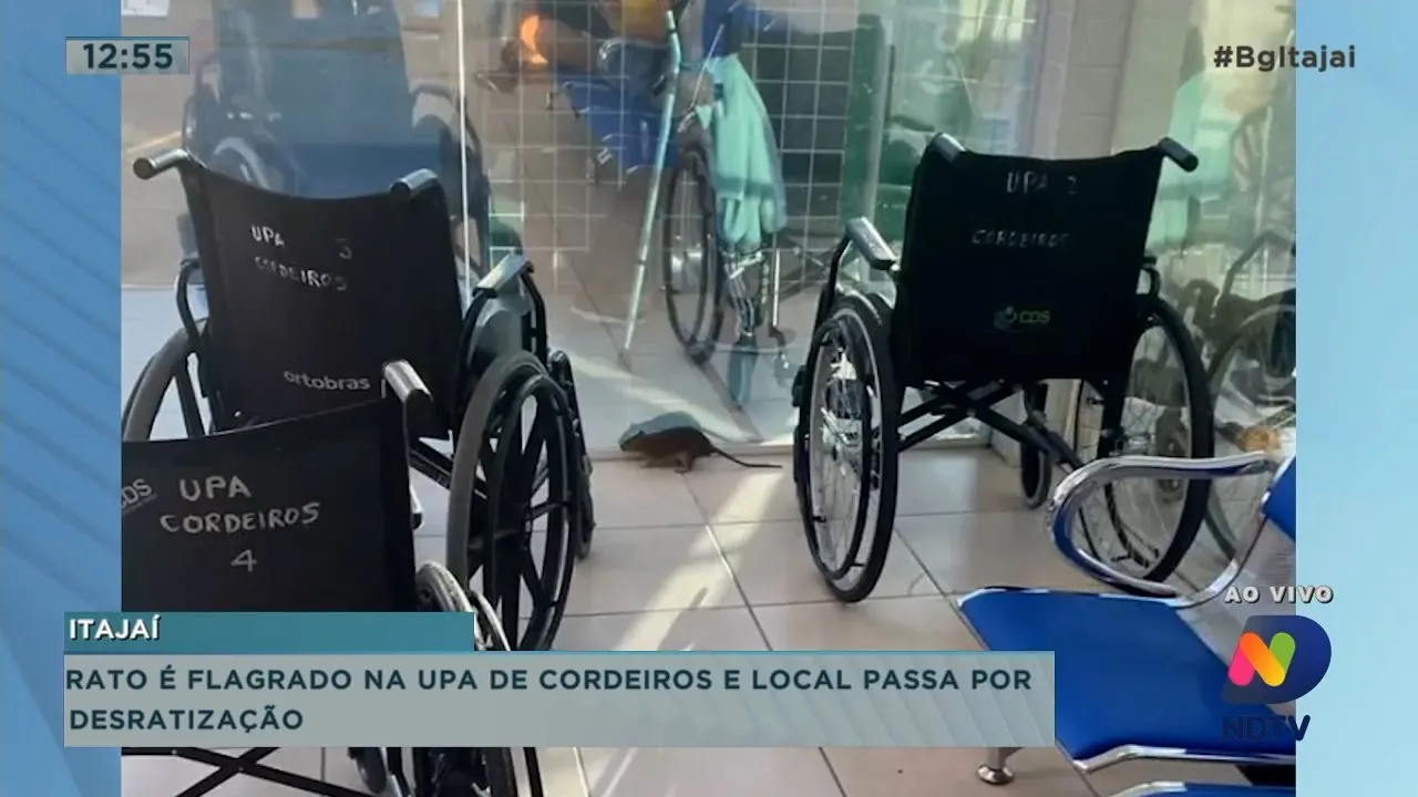 Rato é flagrado na UPA de Cordeiros, e local passa por desratização