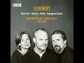 Piano Trio No. 2 in E-Flat Major, Op. 100, D. 929: I. Allegro