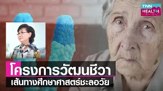  เทโรเมียคืออะไร และมีบทบาทอย่างไรต่อการเสื่อมของร่างกาย