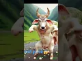 Download Lagu नाचते हुए गाय #cow #comedy #funny #bull dance #animals
