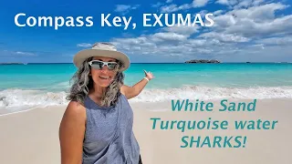 White sand, blue water, and a shark petting zoo! Compass Cay Exumas – Episode 21 #catamaransailing