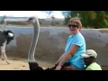 Wife rides Ostrich