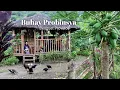 Download Lagu Cooking ultimate Filipino favorite soup when it rains in the province