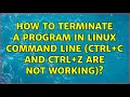 How to terminate a program in linux command line ctrl c and ctrl z are not working