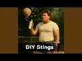 DIY Stings Pest Control Does Not