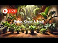 Lagu 🔴 LIVE 🌿 Healing Music for Plants \u0026 Plant Lovers - Relax, Grow, Heal!