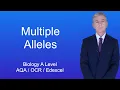 A Level Biology Revision Year 13 Multiple Alleles