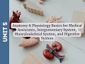 Unit 5 A P Basics Integumentary Musculoskeletal Gastrointestinal Systems CCMA Exam Prep