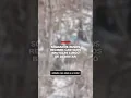 Download Lagu Soldados rusos reciben castigos brutales luego de desertar