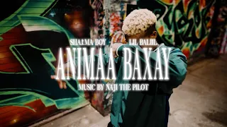 Sharma Boy ft. Lil Baliil - Animaa Baxay (Official Music Video)