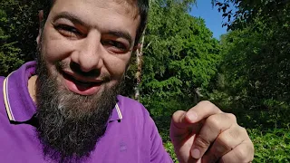 امتى المريض تقدر نقول عليه انه خف ش في 