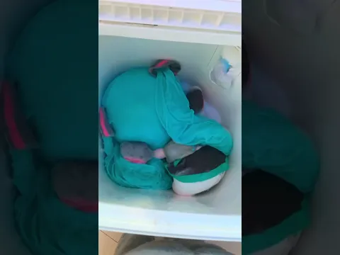 Miku no se Bañaba 😂 #humor #miku #comedia
