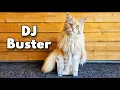 Download Lagu DJ Buster - In the Box (Music Video)
