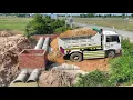 Drop Soil Bury The Twin Sewer System In Water And Clean The Forest On The Roadways