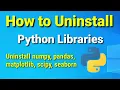How to Uninstall Python Libraries - numpy pandas scipy matplotlib seaborn on Windows 2023