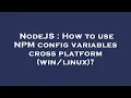 NodeJS How to use NPM config variables cross platform