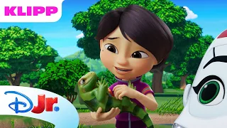Nytt kjæledyr | Redningsvenner | Disney Junior Norge