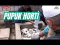 Download Lagu PRAKTEK MEMBUAT PUPUK HORTI