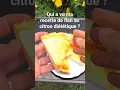 Download Lagu Who has seen my recipe for diet lemon flan? https://vm.tiktok.com/ZNd5uLXdc/