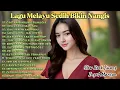 Download Lagu Lagu Slow Rock Melayu Terbaru 2025 - Sedih Menyayat Hati - Lagu Pop Melayu - Cinta Membawa Bahagia
