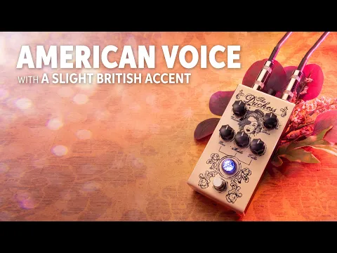Victory V1 The Duchess Preamp | Delicious Audio