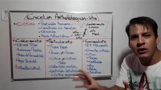 Cultura e Escolas Antropológicas - Introdução