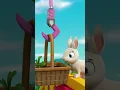 Skye Rescues the Magician s Bunny - PAW Patrol Shorts