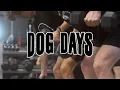 Dog Days Chapter 2 The Pitt