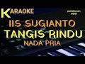 Download Lagu Iis Sugianto || Tangis Rindu || Karaoke || Cover