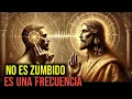 Download Lagu la frecuencia del cuerpo enseñada por jesús a los elegidos en los textos gnósticos de nag hammadi MP3